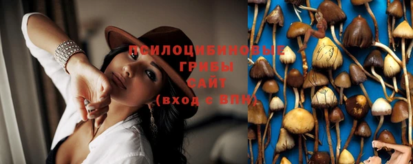 соль ск Абинск