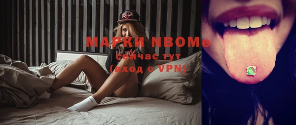 хмурый Пестово