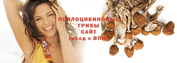 МДПВ Абаза