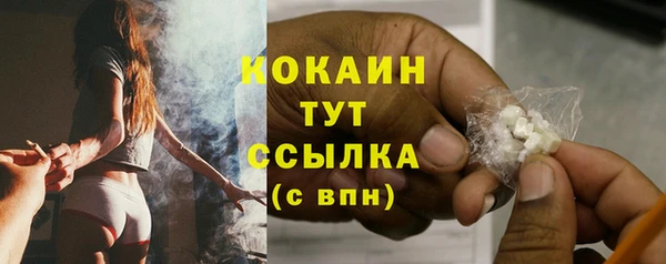 МДПВ Абаза