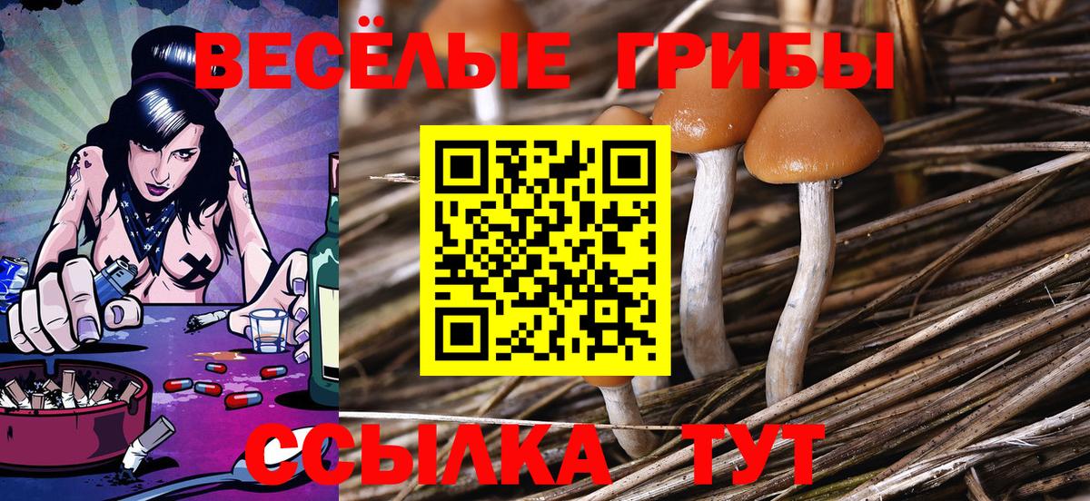Псилоцибиновые грибы Magic Shrooms  магазин  наркотиков  Рассказово  Вход с VPN  Галлюциногенные грибы прущие грибы 